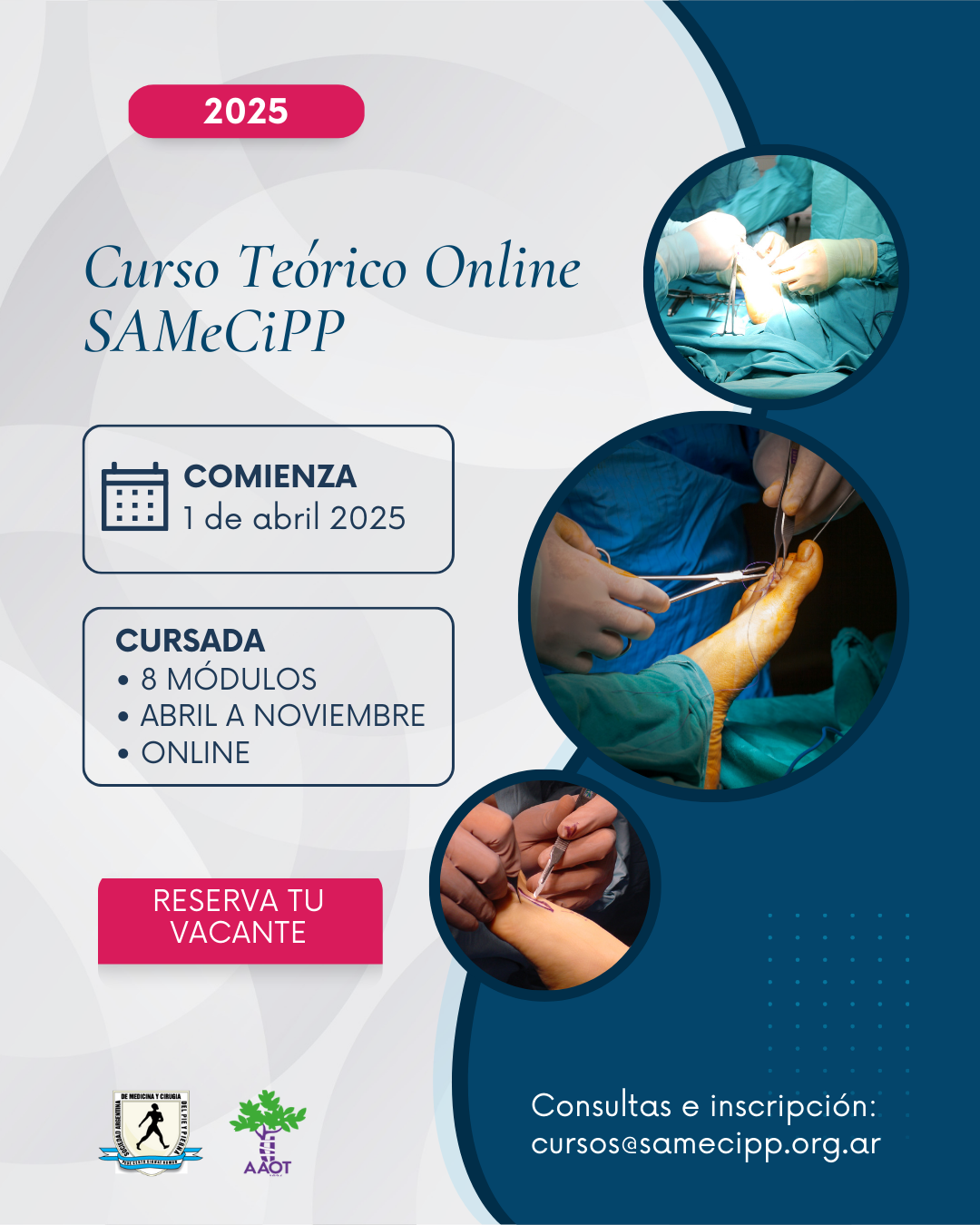 Curso Teórico Online SAMeCiPP